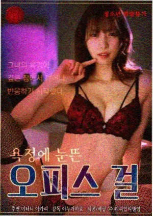 远洋航线纪事缩略图